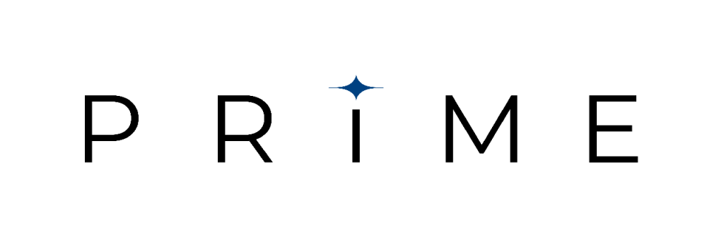 PRIME Enterprise AI Innovation Platform by 9 Dots Consulting