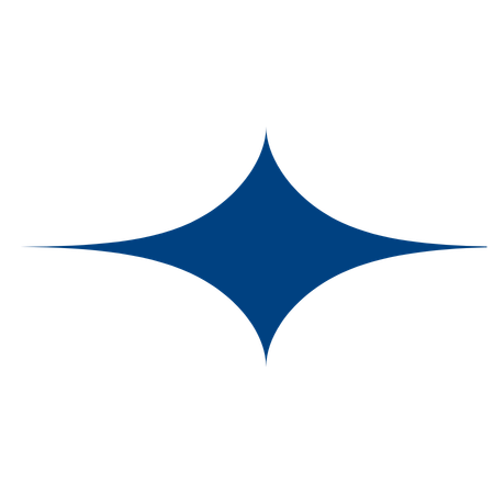 PRIME AI STAR logo